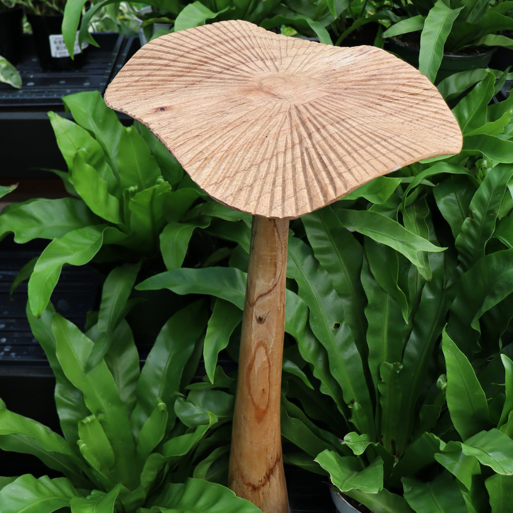 Jempinis Mushroom