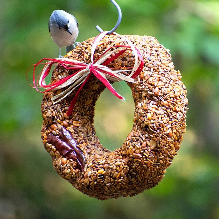 Mr. Bird Flaming Hot Wreath