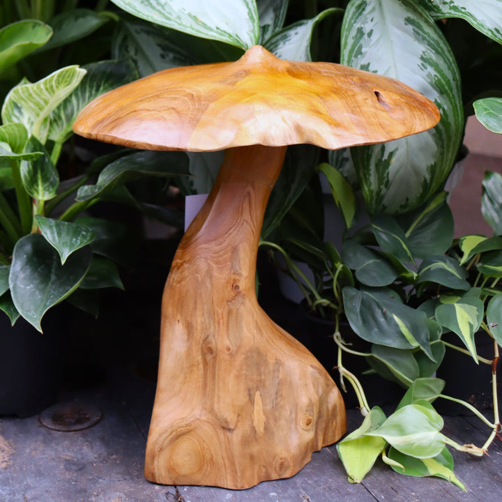 Teak Mushroom