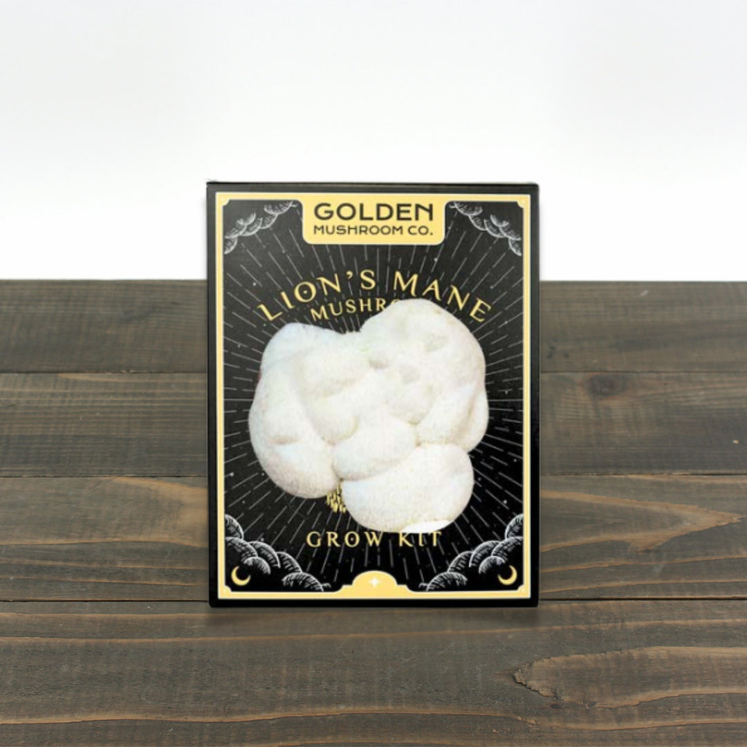 Mushroom Kit