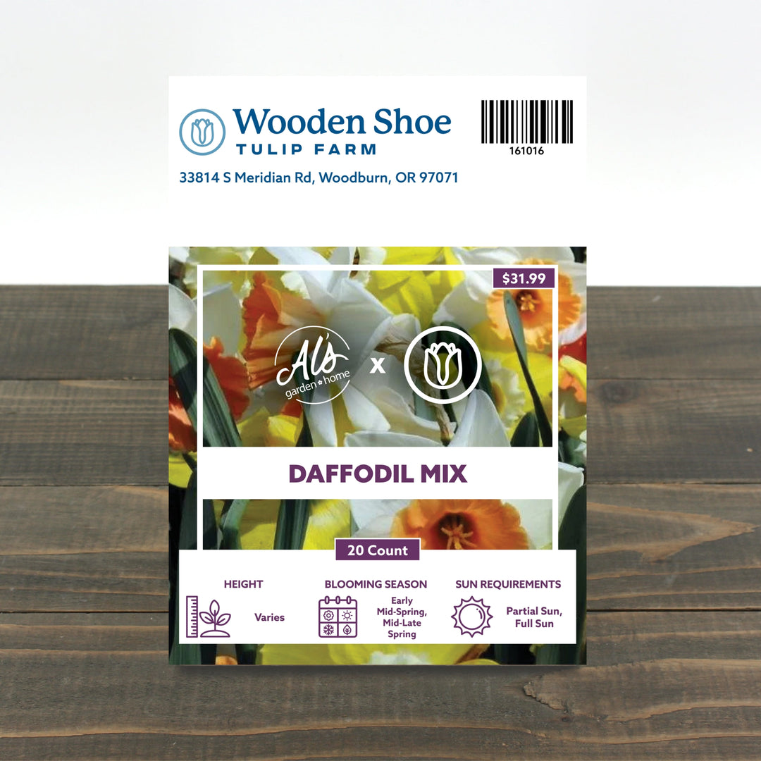 Wooden Shoe Tulip Farm Daffodil Mix Bulb