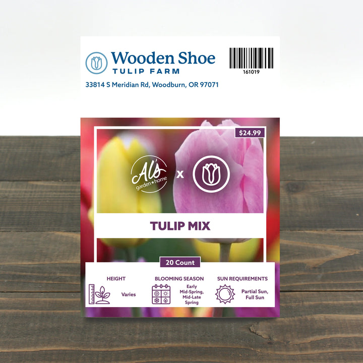 Wooden Shoe Tulip Farm Mixed Tulip Bulb