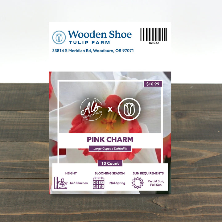Wooden Shoe Tulip Farm Pink Charm Daffodil Bulb