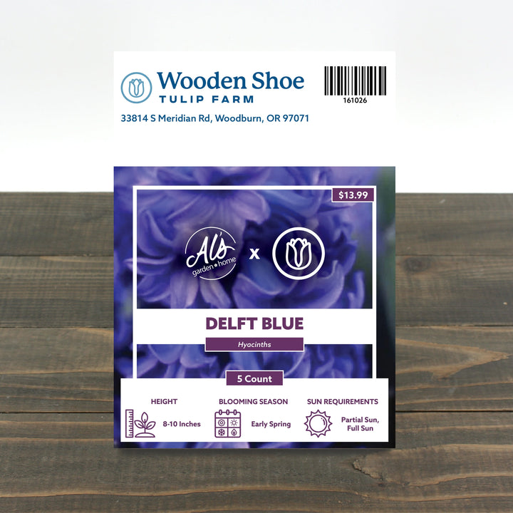 Wooden Shoe Tulip Farm Delft Blue Hyacinth Bulb