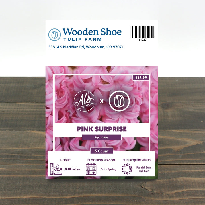 Wooden Shoe Tulip Farm Pink Surprise Hyacinth Bulb