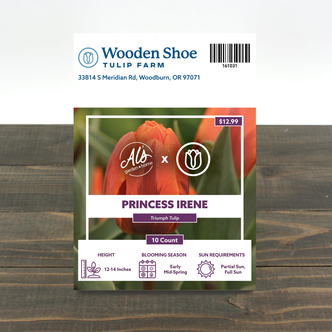 Wooden Shoe Tulip Farm Princess Irene Tulip Bulb