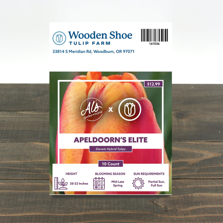 Wooden Shoe Tulip Farm Apeldoorn's Elite Bulb