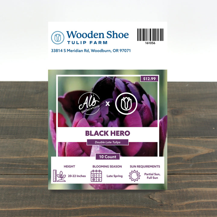 Wooden Shoe Tulip Farm Black Hero Tulip