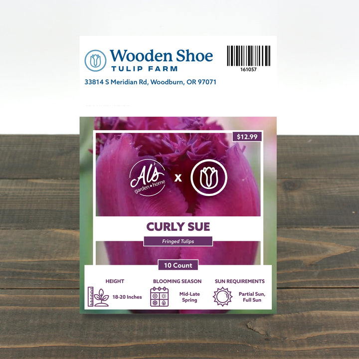 Wooden Shoe Tulip Farm Curly Sue Tulip Bulb