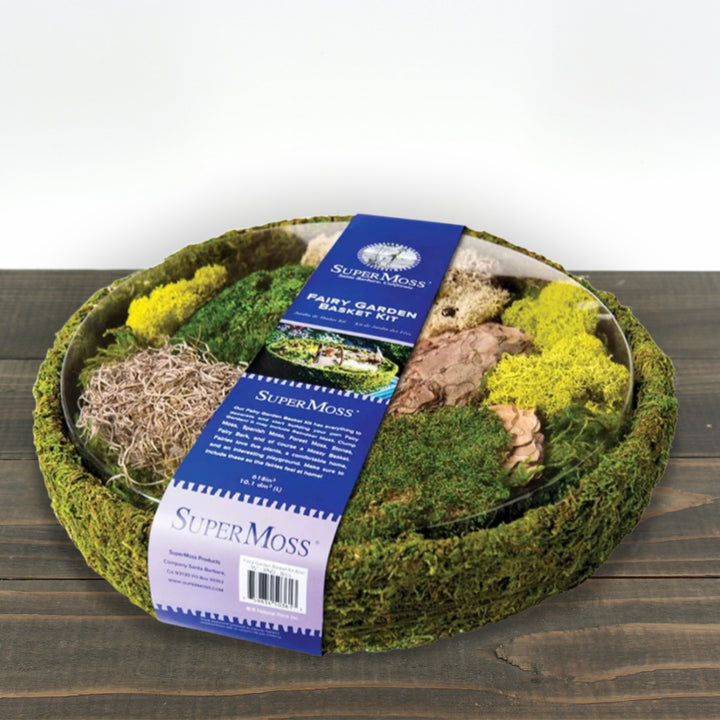 Fairy Garden