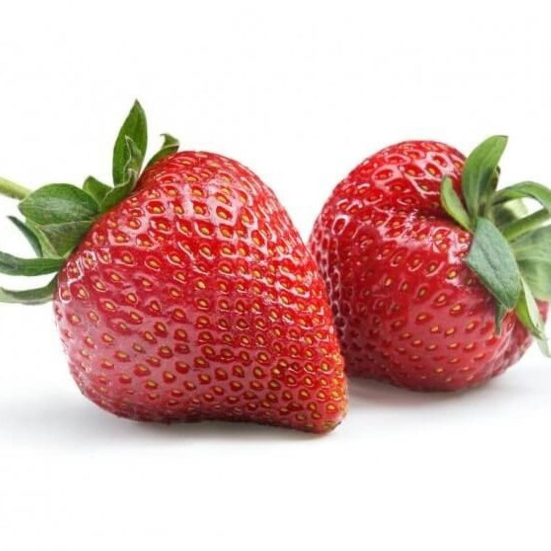 Fragaria x ananassa 'Shuksan' Strawberry, 1 Gallon Annuals