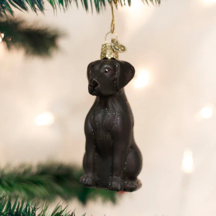 Black Labrador Old World Ornament