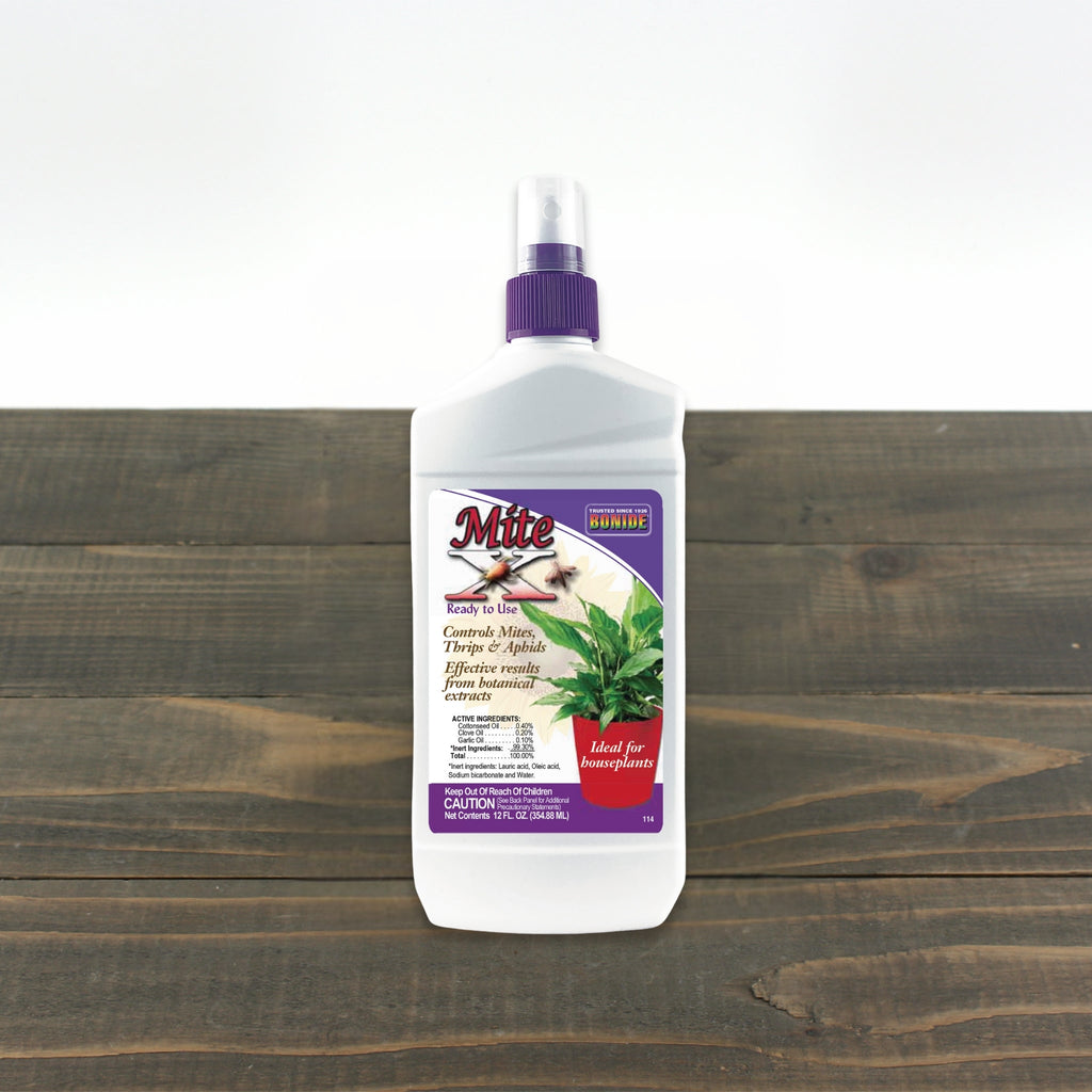 indoor plant insect control Bonide Mite X 12 oz