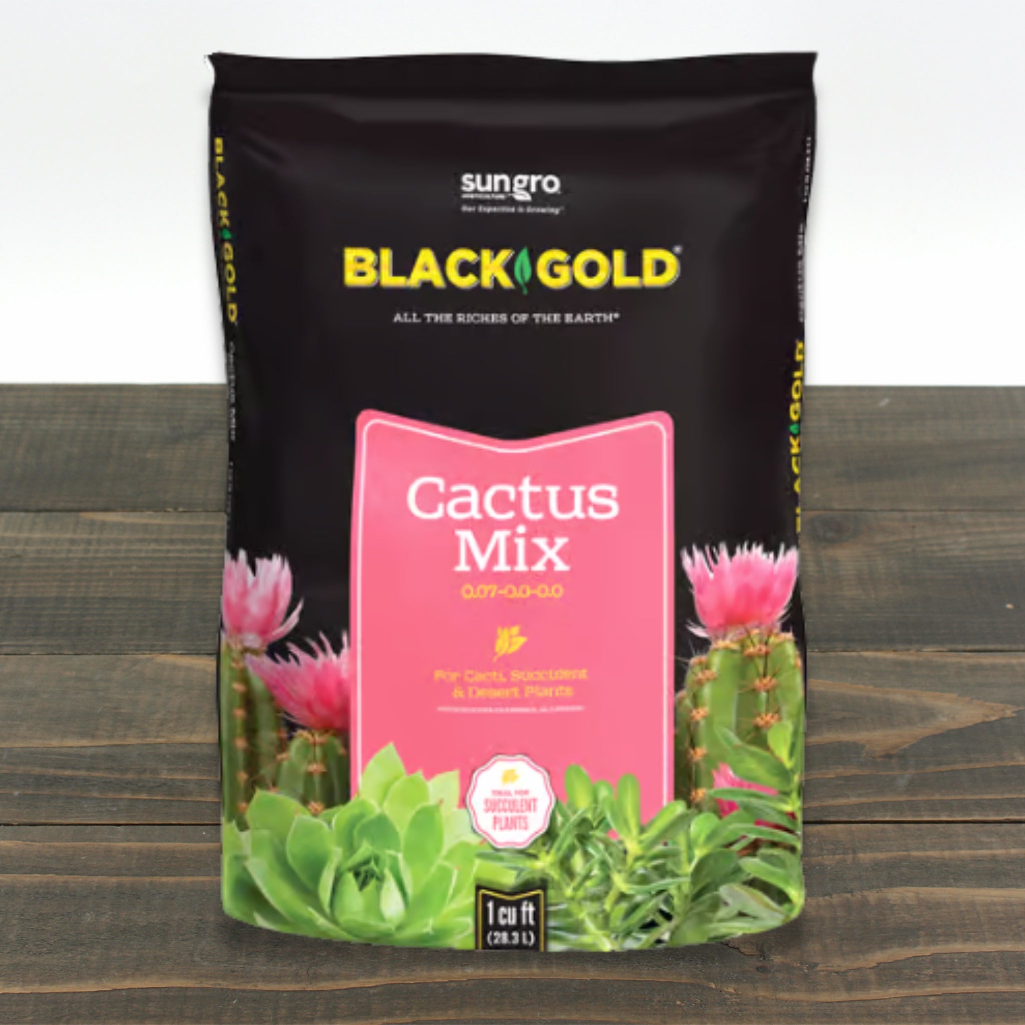 Black Gold Succulent & Cactus Potting Mix - Thumbnail 4