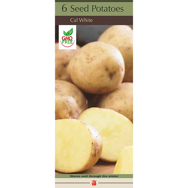 Seed Potatoes