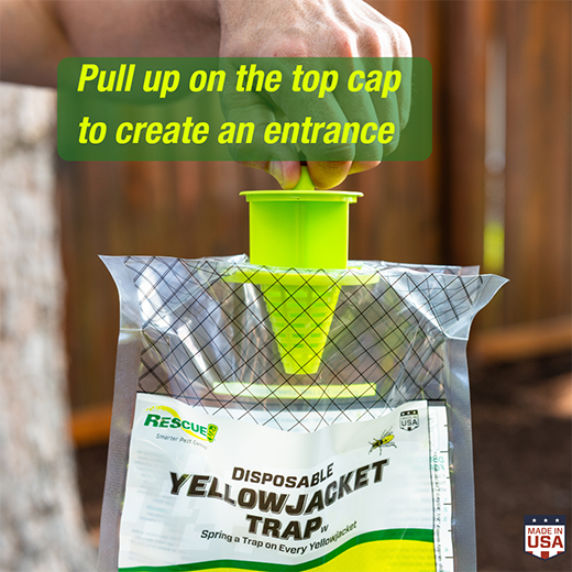 Yellow Jacket Trap by Rescue®