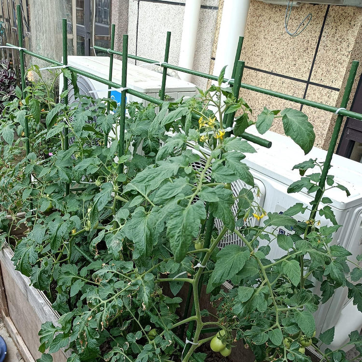 Bond Heavy-Duty Super Steel Stake - Green used in a raised bed