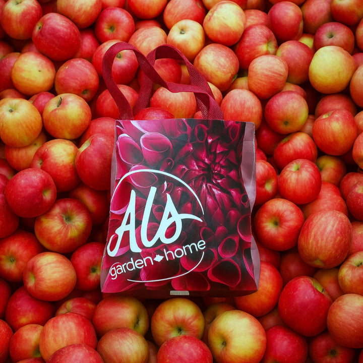 Baker's Special - Ice Apples