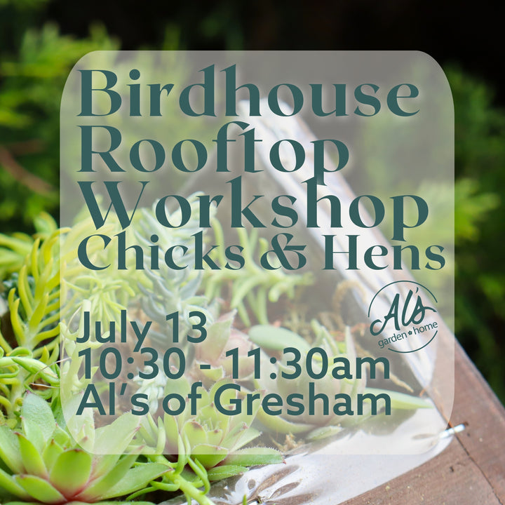 Gresham Birdhouse Rooftop Workshop, Chicks and Hens