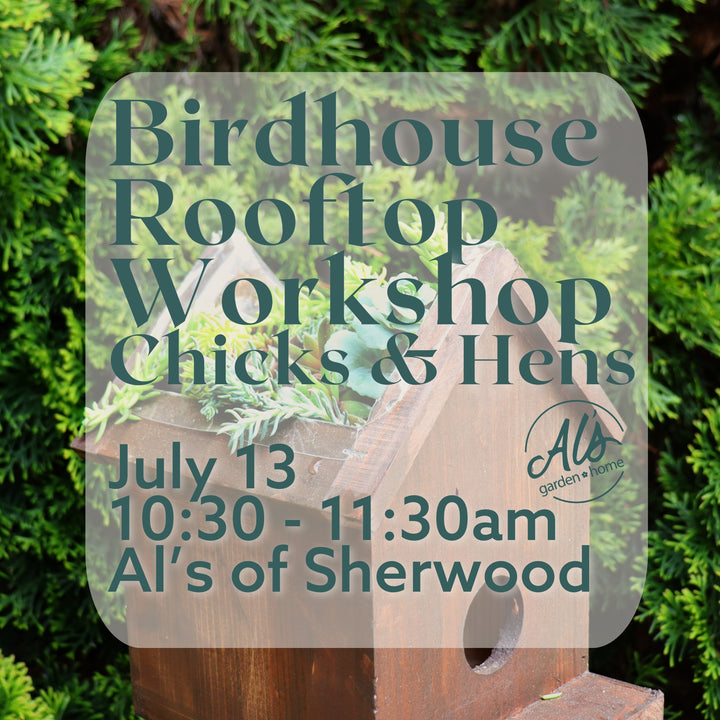 Sherwood Birdhouse Rooftop Workshop