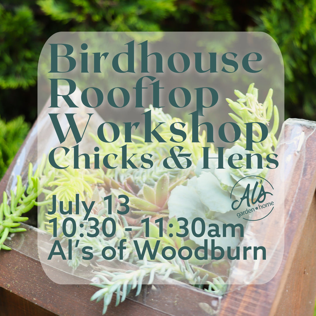 Al's Garden and Home Woodburn Birdhouse Rooftop Workshop