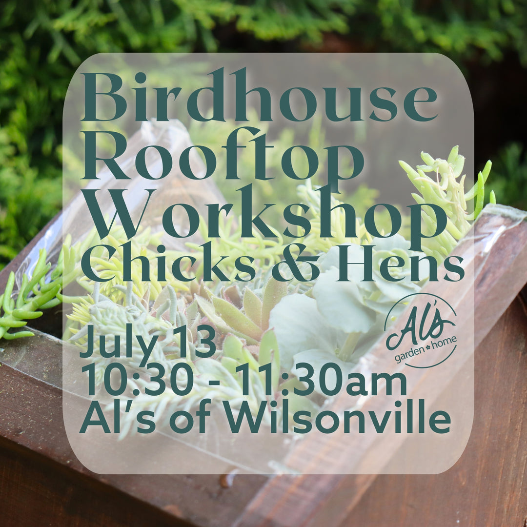 Al's Garden and Home Wilsonville Birdhouse Rooftop Workshop