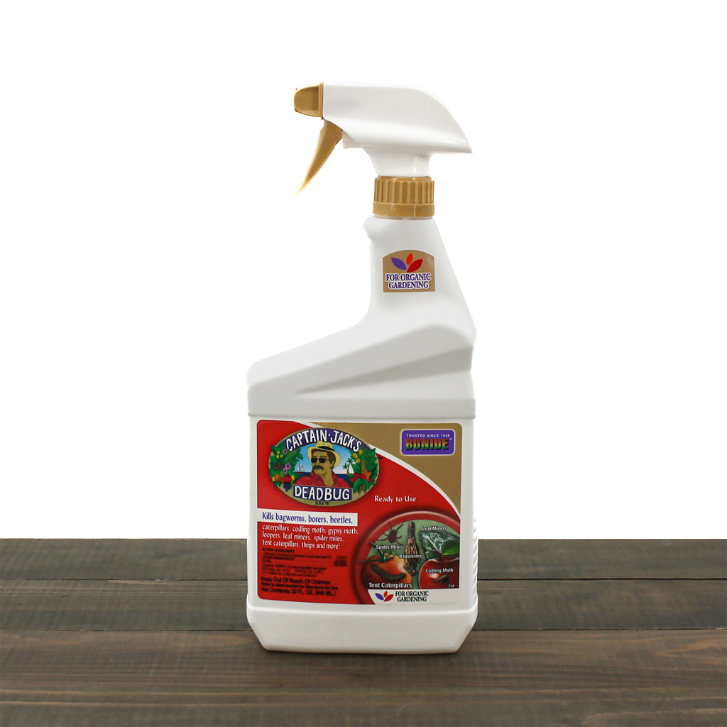 CaptainJack_sDeadbugBrewRTU1qt