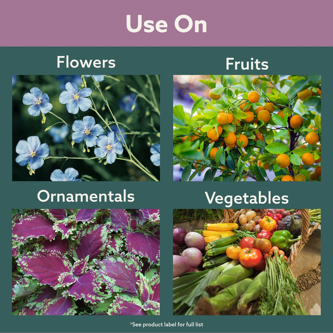 Bonide Copper Fungicide