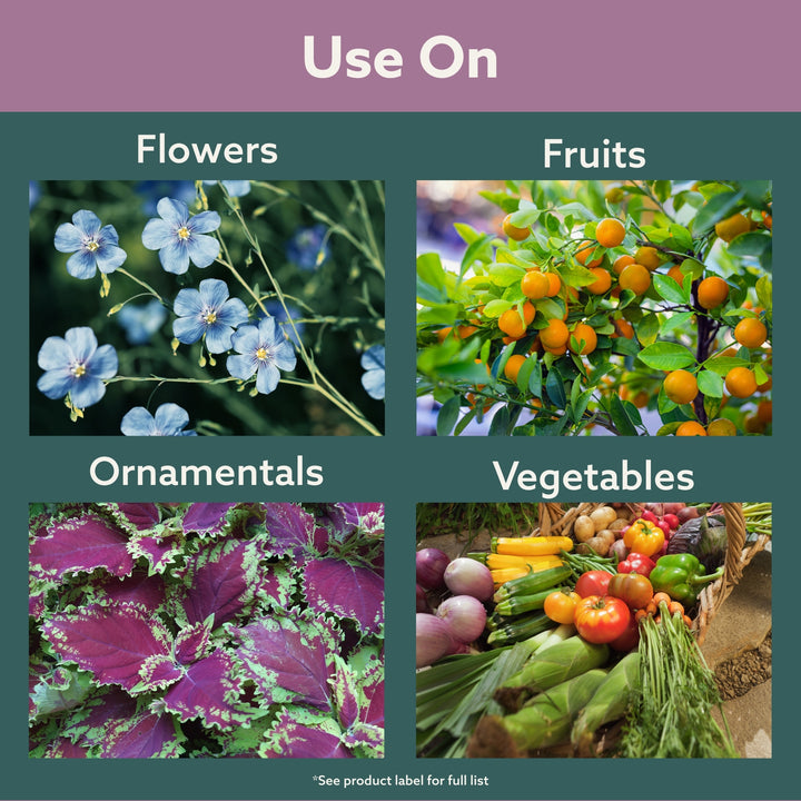 Bonide Copper Fungicide