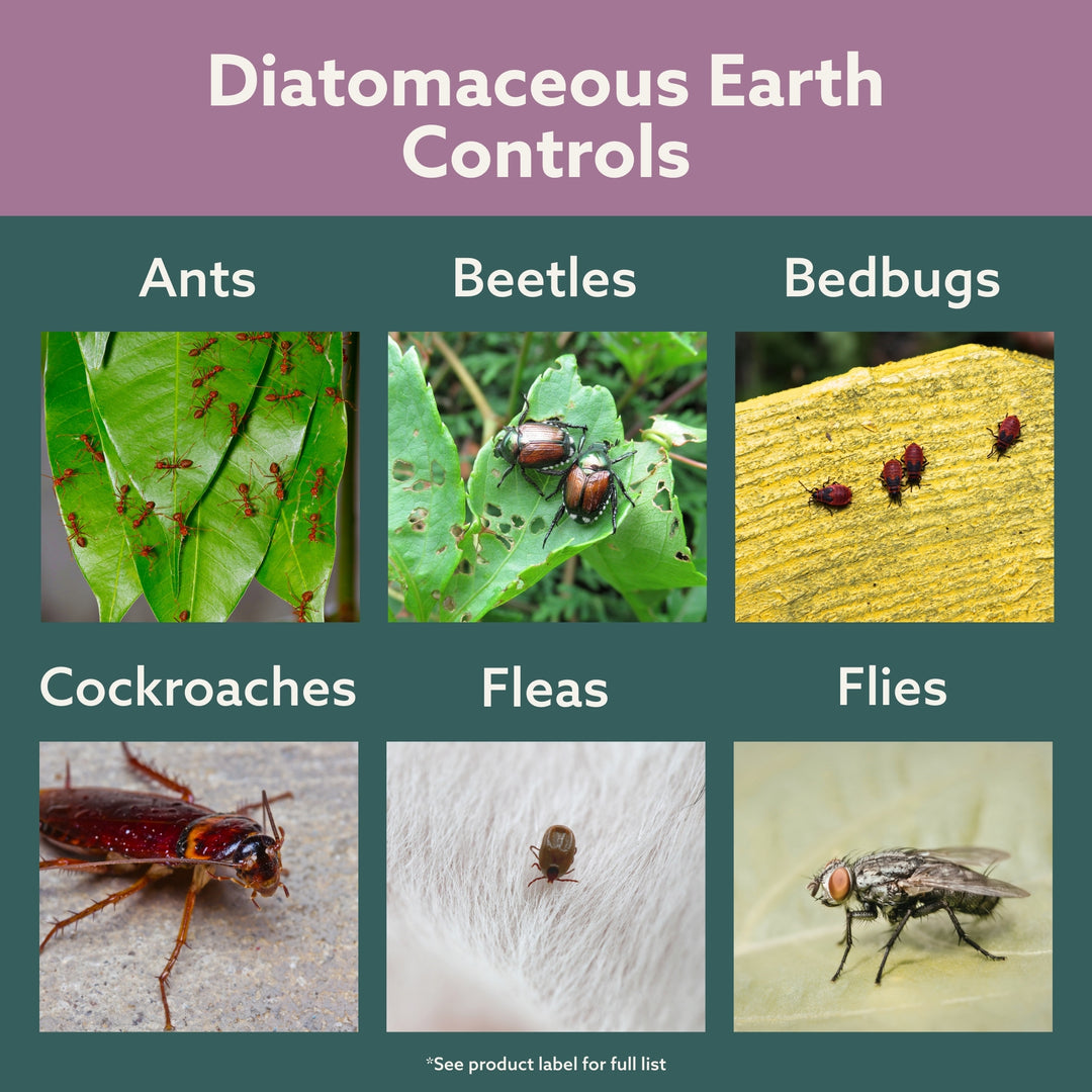 Bonide Diatomaceous Earth