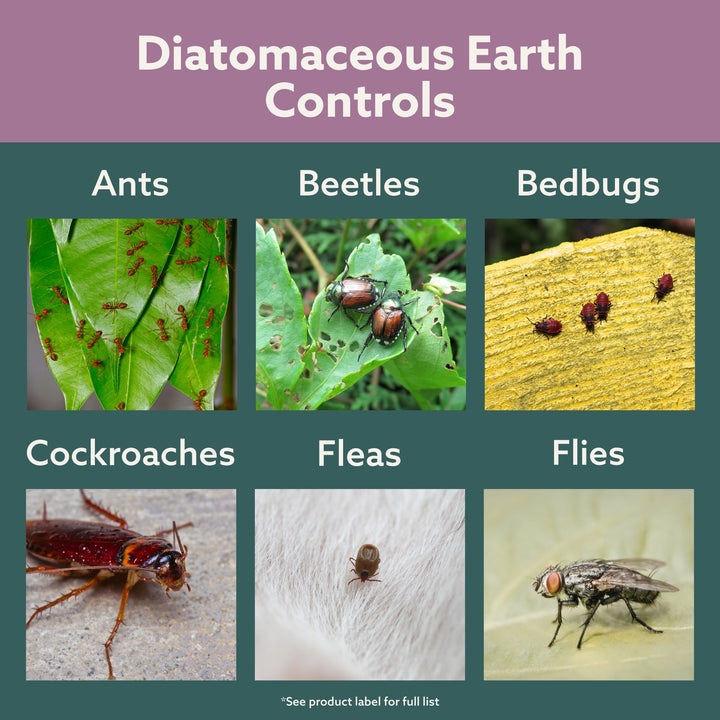 Bonide Diatomaceous Earth