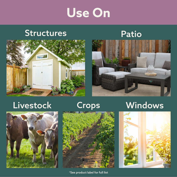 Bonide Diatomaceous Earth