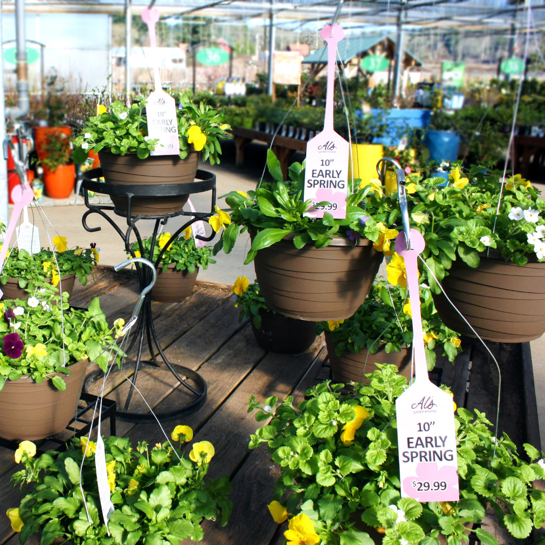 Spring Hanging Basket