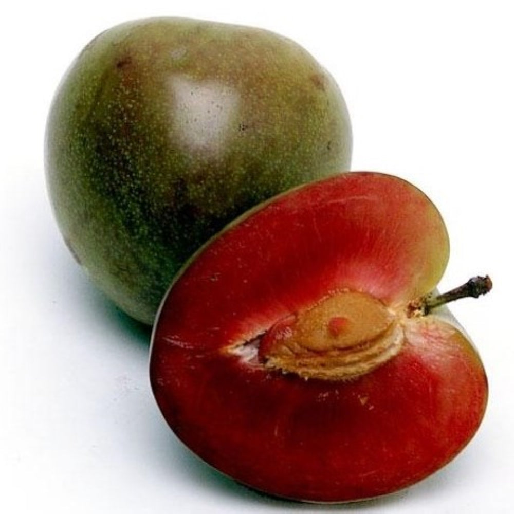 Prunus domestica 'Elephant Heart' Dwarf Plum, Bare Root Plum Tree, Tree