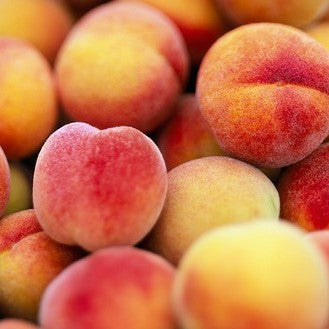 Prunus persica 'Frost' Semi-Dwarf Peach, Bare Root Peach Tree, Tree
