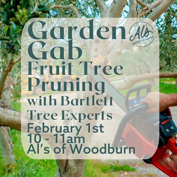 Woodburn Garden Gab: Fruit Tree Pruning