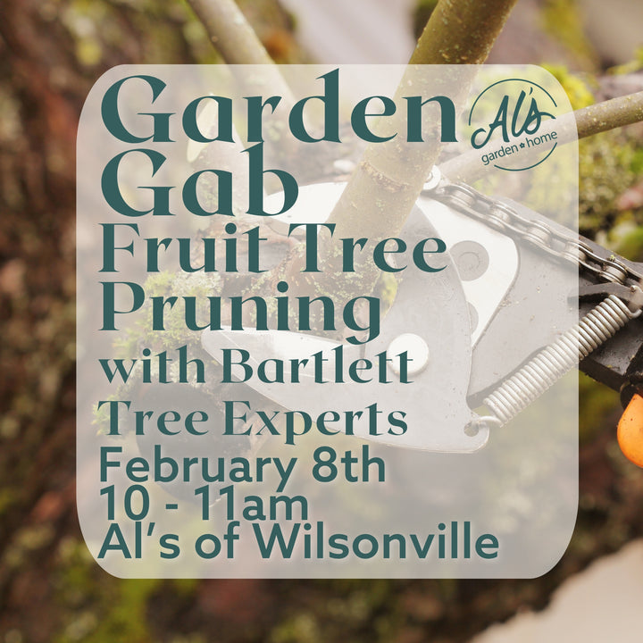 Wilsonville Garden Gab: Fruit Tree Pruning