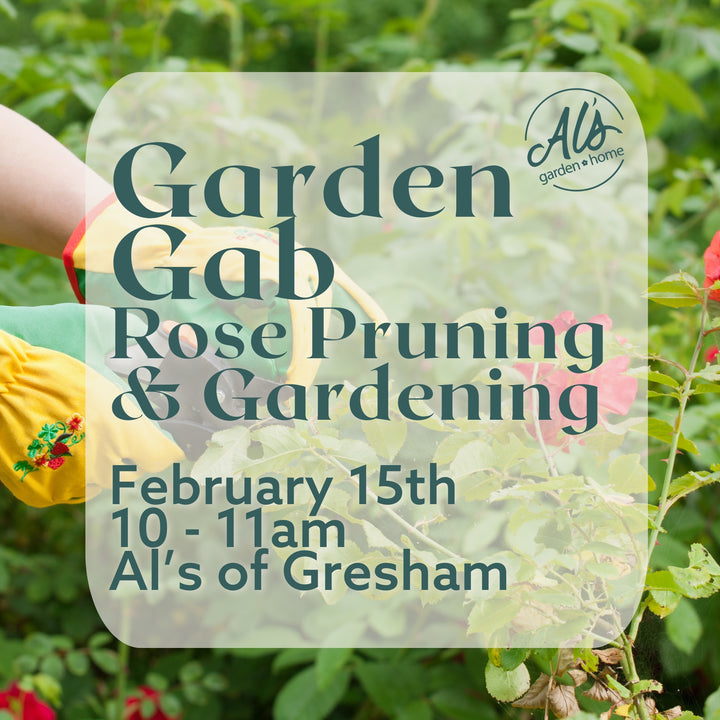 Gresham Garden Gab: Rose Pruning & Gardening