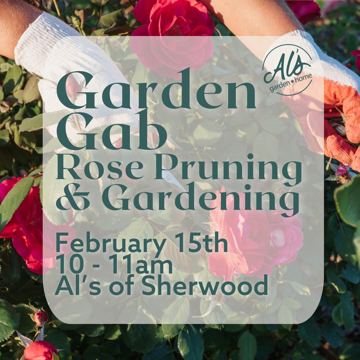 Sherwood Garden Gab: Rose Pruning & Gardening