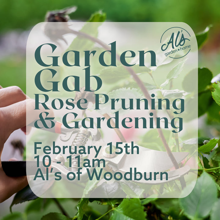 Woodburn Garden Gab: Rose Pruning & Gardening