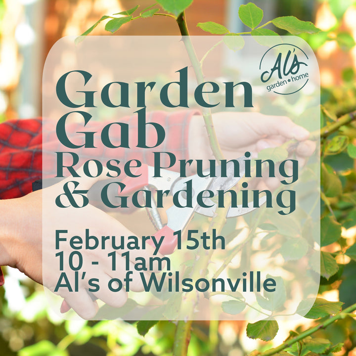 Wilsonville Garden Gab: Rose Pruning & Gardening