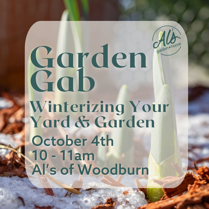 Woodburn Garden Gab: Winterizing Your Yard & Garden