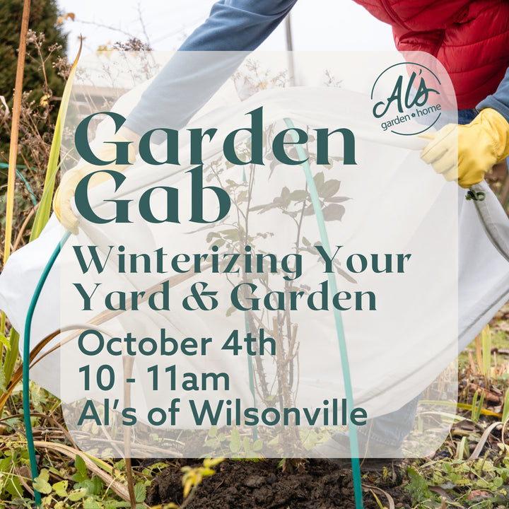 Wilsonville Garden Gab: Winterizing Your Yard & Garden