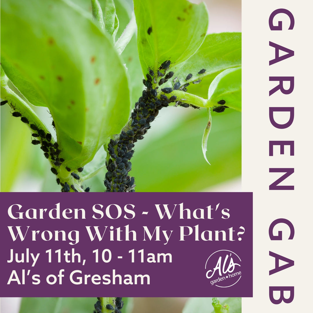 Gresham Garden Gab - What's Wrong with My Plant?