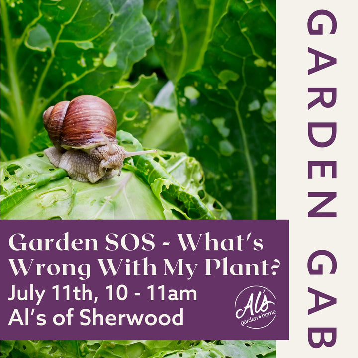 Sherwood Garden Gab - What's Wrong with My Plant?