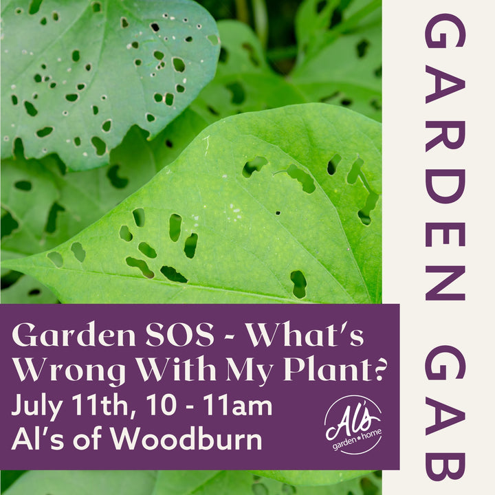 Woodburn Garden Gab - What's Wrong with My Plant?