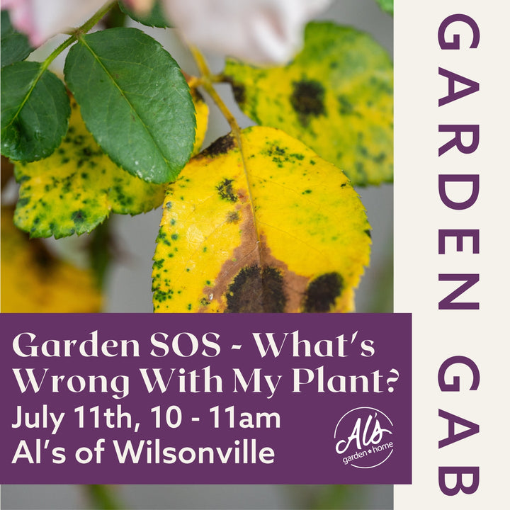 Wilsonville Garden Gab - What's Wrong with My Plant?