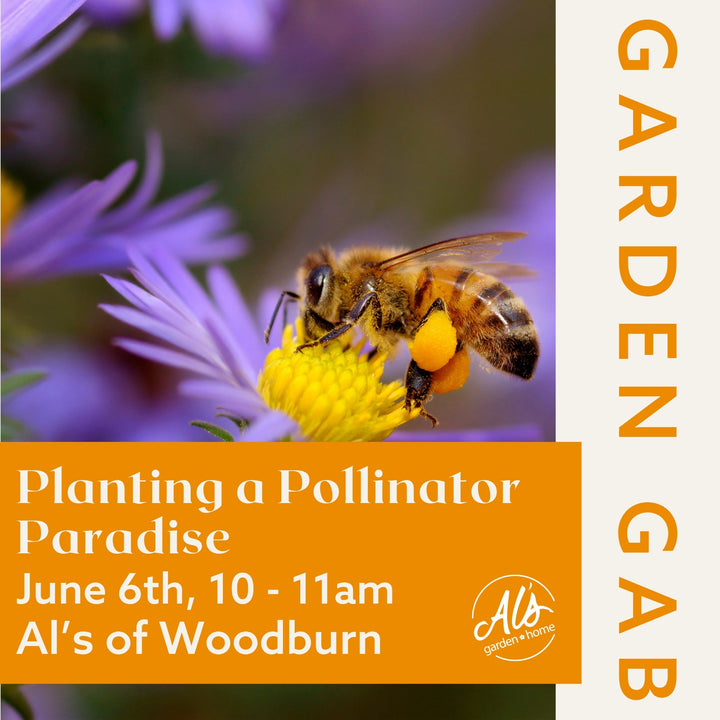 Woodburn Garden Gab - Planting a Pollinator Paradise