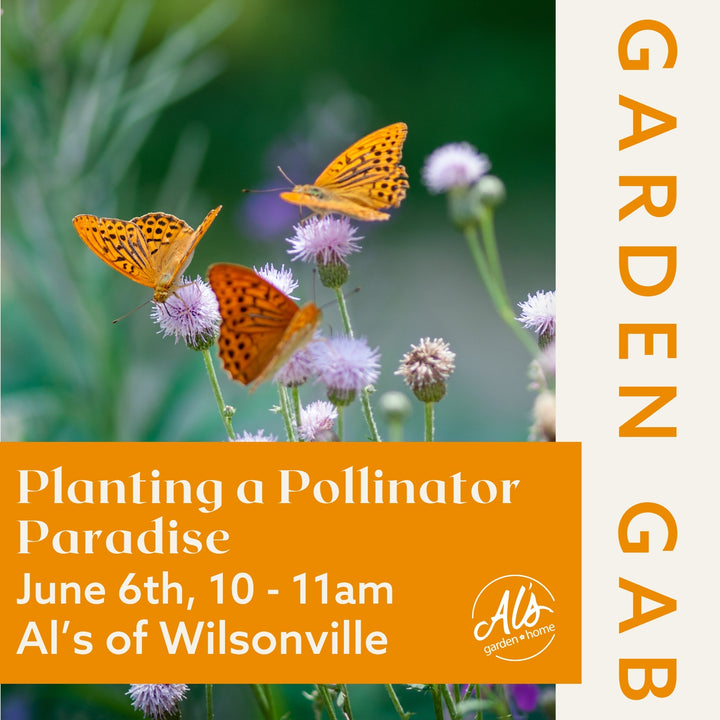Wilsonville Garden Gab - Planting a Pollinator Paradise