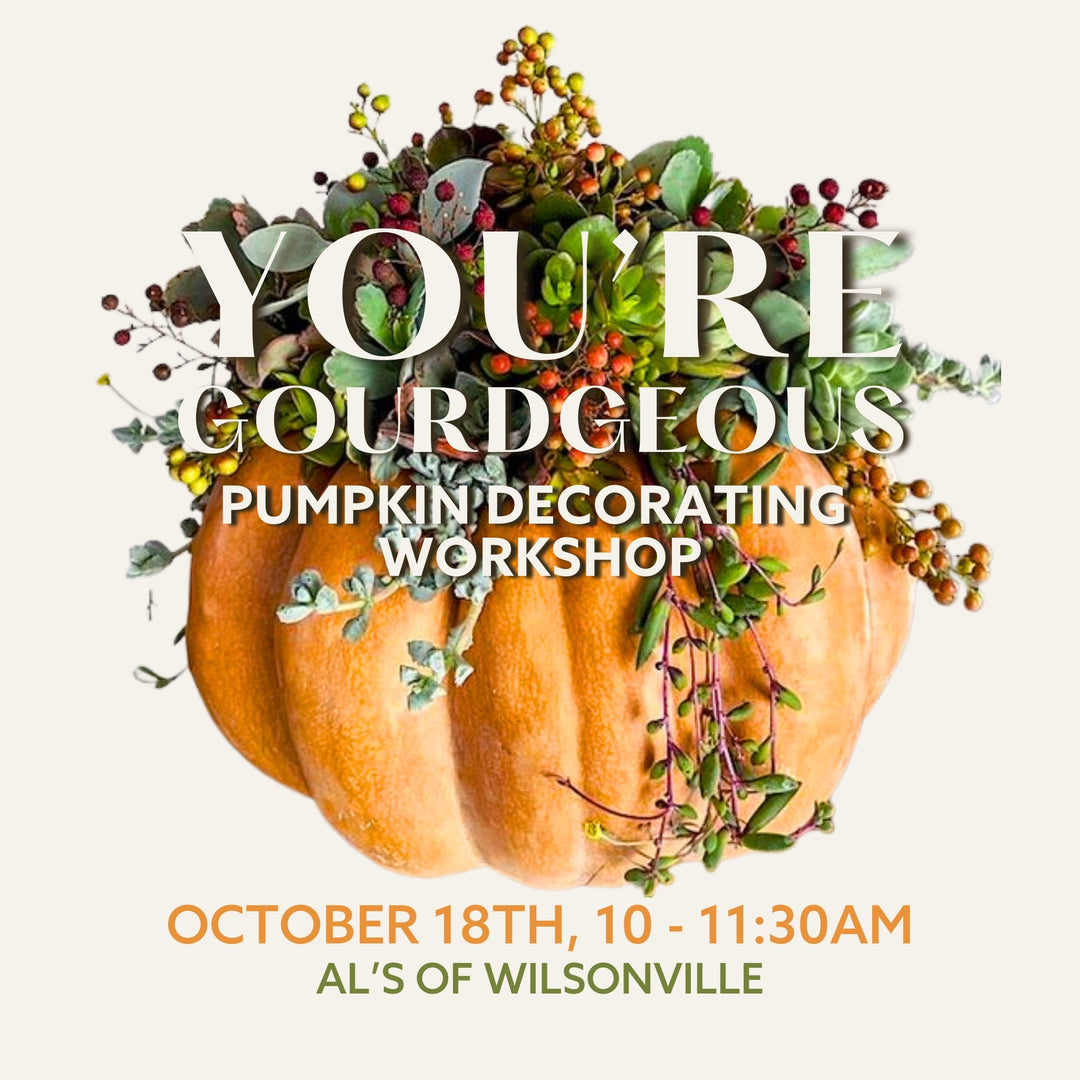 You're Gourdgeous: Pumpkin Decorating Workshop Wilsonville